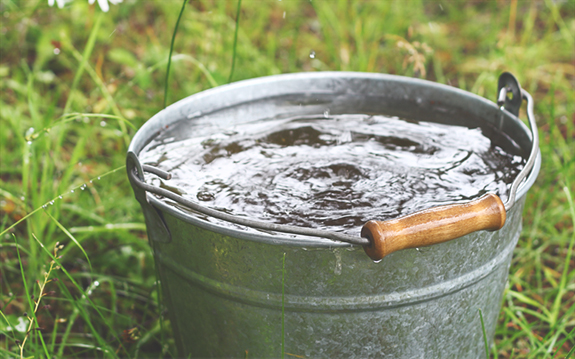 К чему снится ведро с водой
