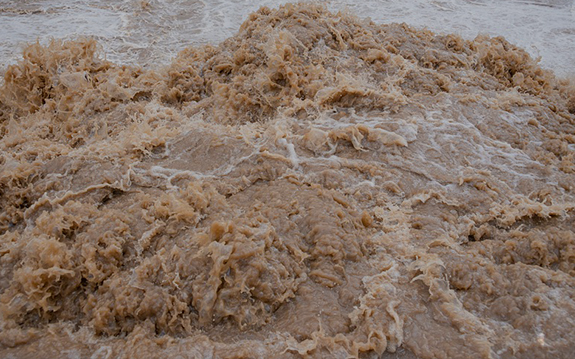 К чему снится мутная вода женщине и мужчине